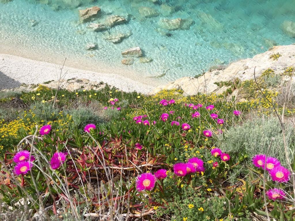 Hotel Experience Relais " Il Termine Elba " Rio Marina Zewnętrze zdjęcie